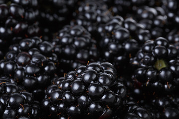 ripe organic blackberries close up