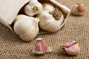 Freshly harvested garlic