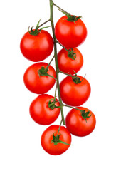 Close up of cherry tomatoes. Macro.