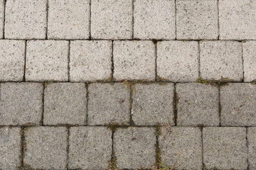 Obraz premium High Pressure Cleaning - 14