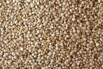 quinoa background