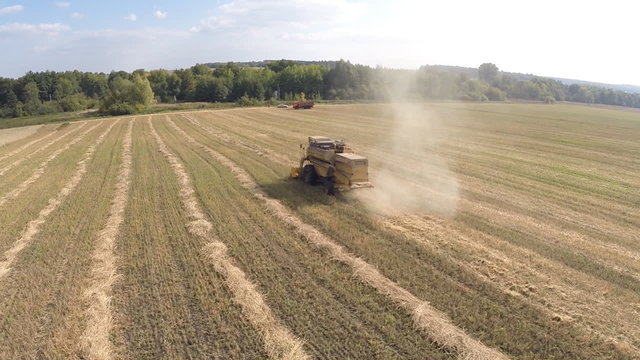 Combine harvester on a wheat field. Aerial shot (sort of)