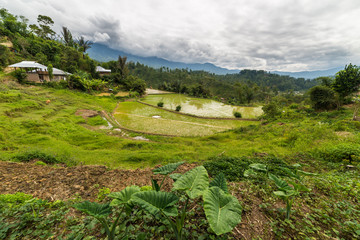 Fototapeta premium Toraja landscape
