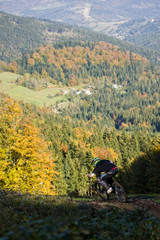 Mountainbiker riding on a path