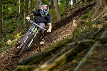 Mountainbiker in the forest