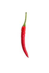 Chilli isolated on white