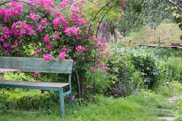 Fototapeta na wymiar bench in garden