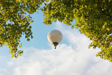 Heißluftballon und Baumkrone