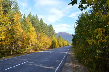 осень.дорога кандалакша-умба.