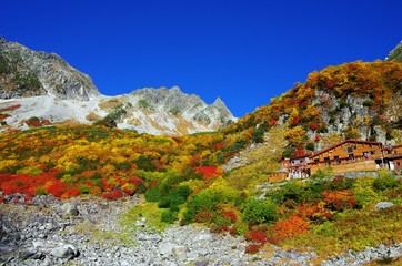 涸沢小屋の紅葉