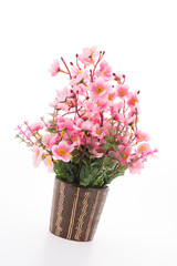 Vase flower isolated on white background