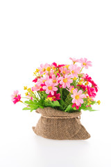 Fototapeta na wymiar Vase flower isolated on white background