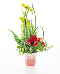 Vase flower isolated on white background