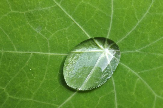 Wasserressourcen der Natur