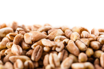 Spelt macro