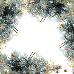 Fototapeta na wymiar Christmas fir branch with gold streamers and stars on a white ba