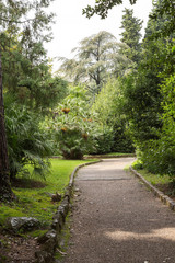 allée dans le jardin à Opatija