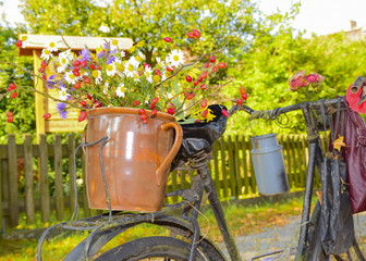 Fototapete bei efototapeten.de bestellen   