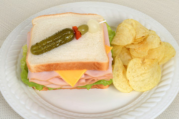 top view chicken sandwich with potato chips