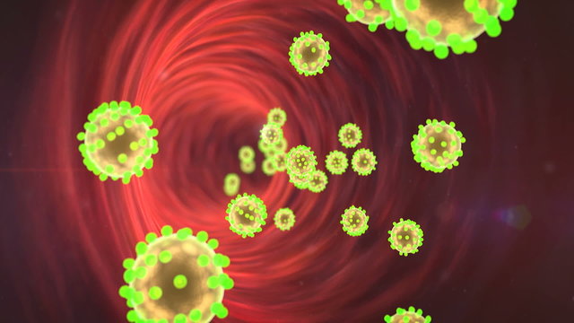 Coronavirus in the blood