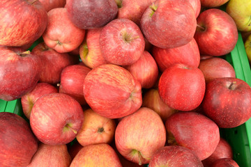Rote Äpfel