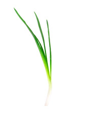 Green onion.