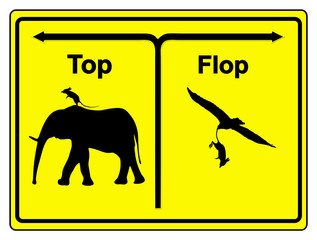 Top or Flop, Business Metaphor