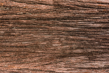 Old wood cracked texture