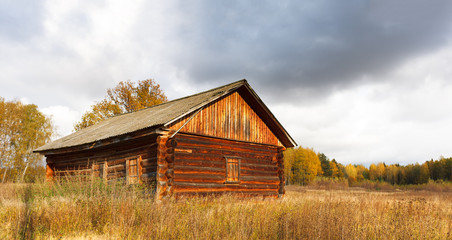 abandoned house from forest