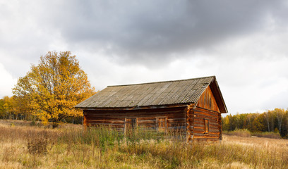 Fototapeta premium abandoned house from forest