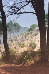 Landschaft auf Mallorca