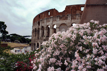 Obraz premium Colosseum in Rome