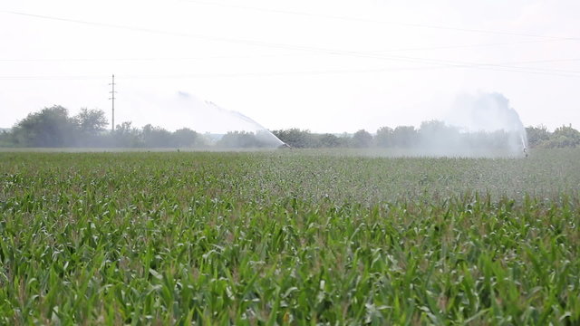 Agricultural Sprinkler Watering Crops