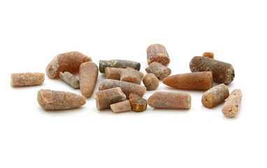 Fossilien von der Ostsee