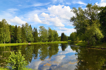 summer lake landscape in park