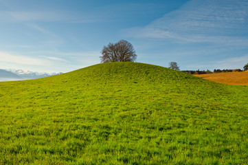 Green Hill