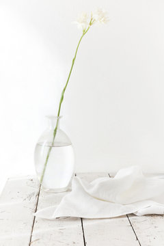 tuberose flower on glass vase with cotton napkin total white