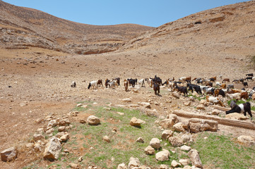 Mountains of Samaria