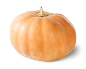 Single Orange Pumpkin