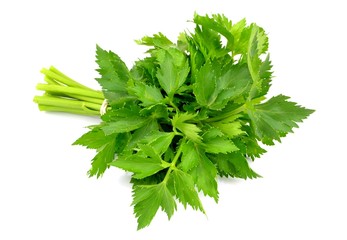celery leaves