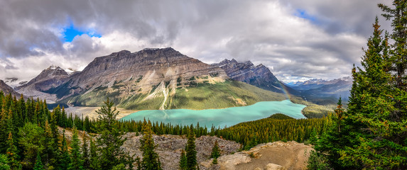 Panoramic view of Peyto lake and Rocky mountains, Canada