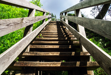 Fototapeta na wymiar Natural wooden stairway to heaven