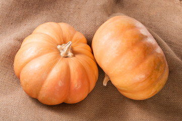 Two Pumpkins On Sackcloth