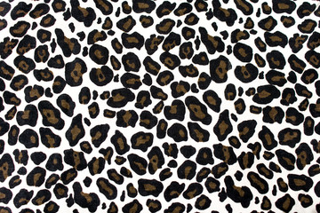 Leopard background