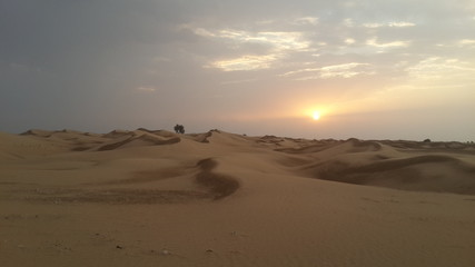 Fototapeta na wymiar Dunes in the desert in Dubai