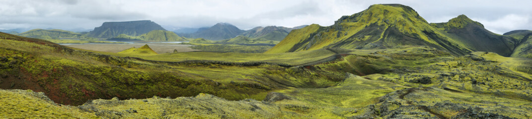 Volcanic landscape covered with moss