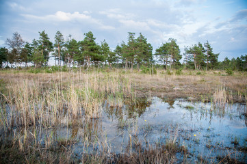 marshes, Estonia