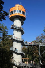 Baumkronenpfand Hainich