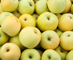 Yellow juicy fresh apples background