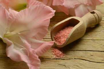 Gladiolus Gladiolsläktet Gladiolen Gladiolo Mieczyk 唐菖蒲属